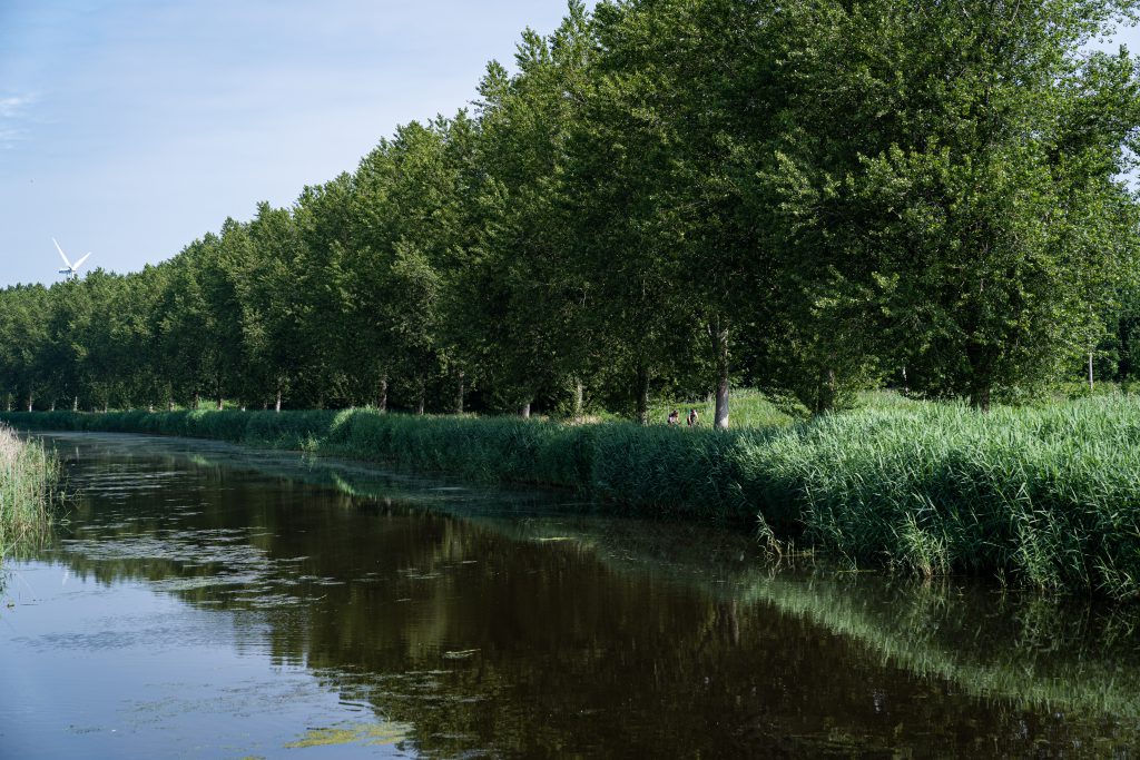 Avondfietsvierdaagse Lelystad