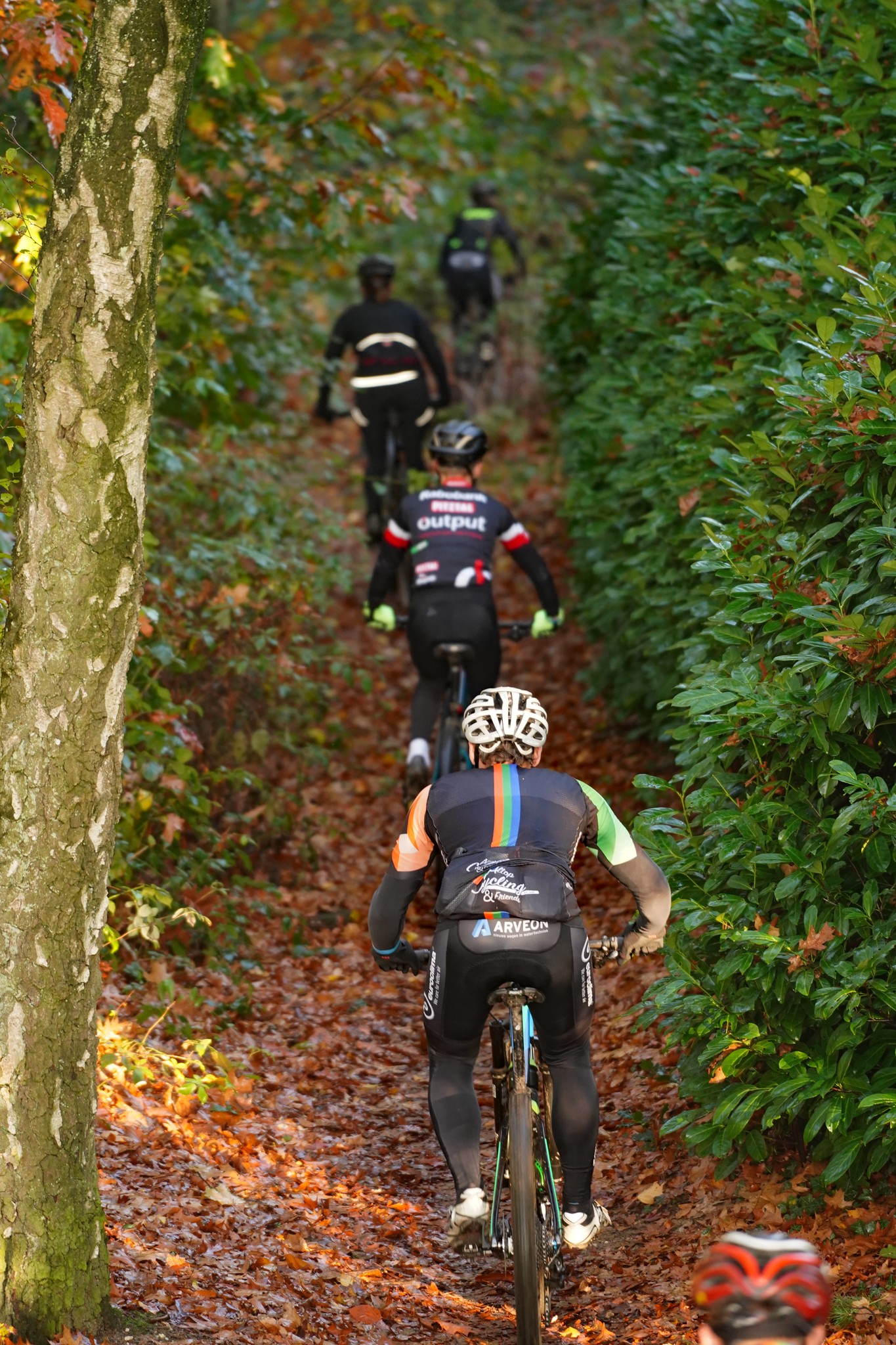 Herfstbostocht MTB & Gravel Arnhem 2024