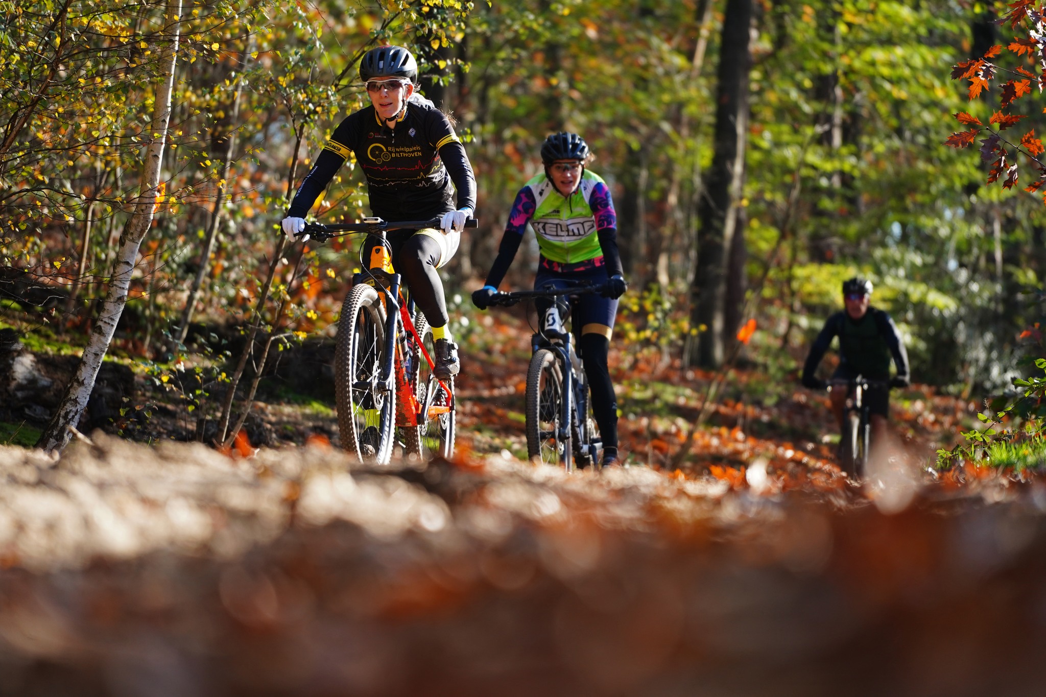 Herfstbostocht MTB & Gravel Arnhem 2024