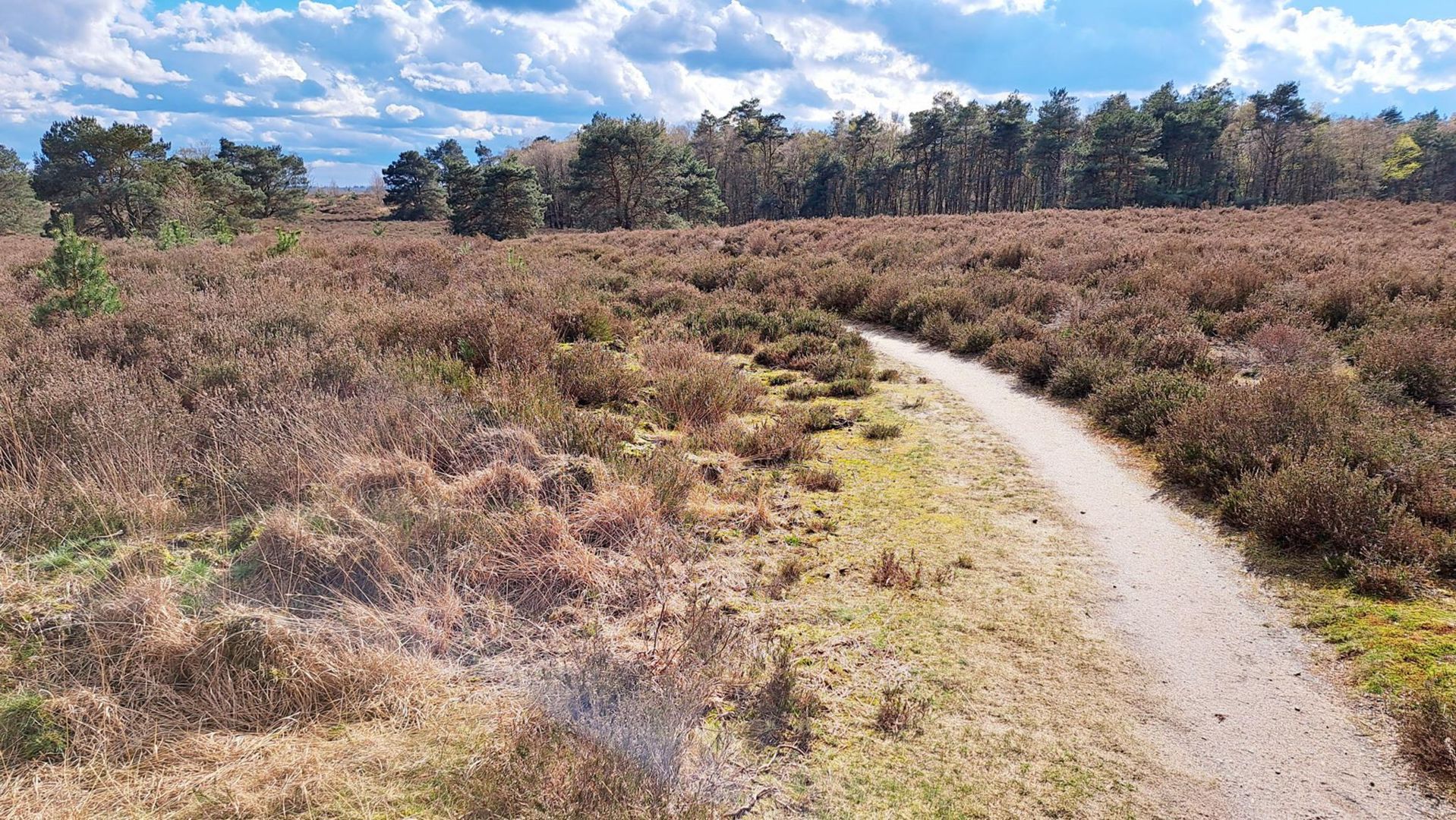 Oudejaarstocht Gravel tocht 2025