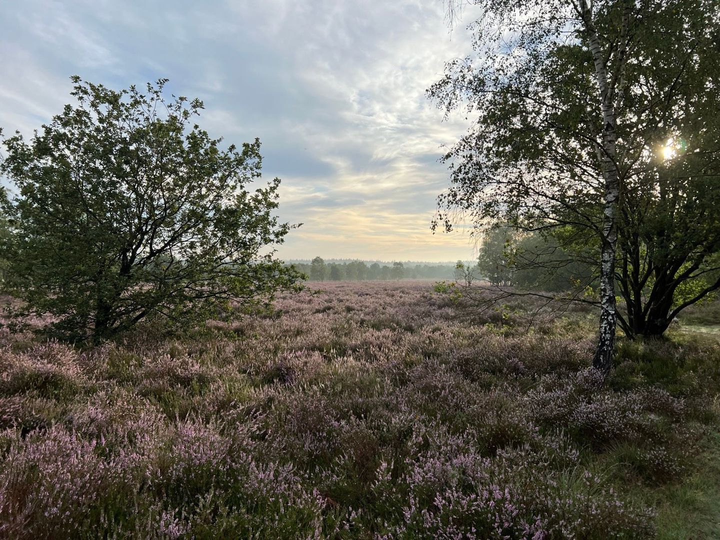 Speulderbos Graveltocht