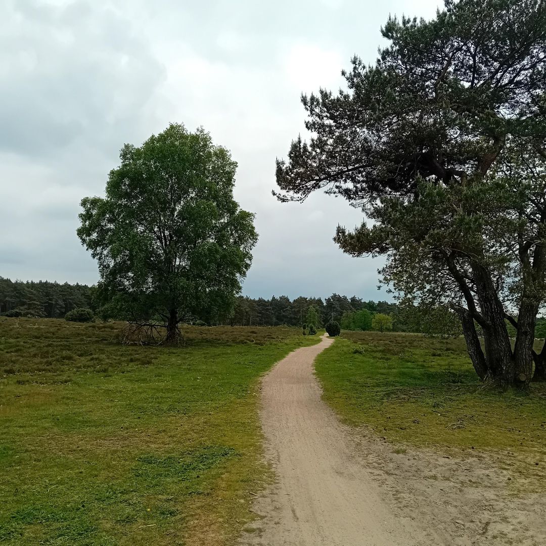 St. Nicolaastocht Gravel tocht 2025