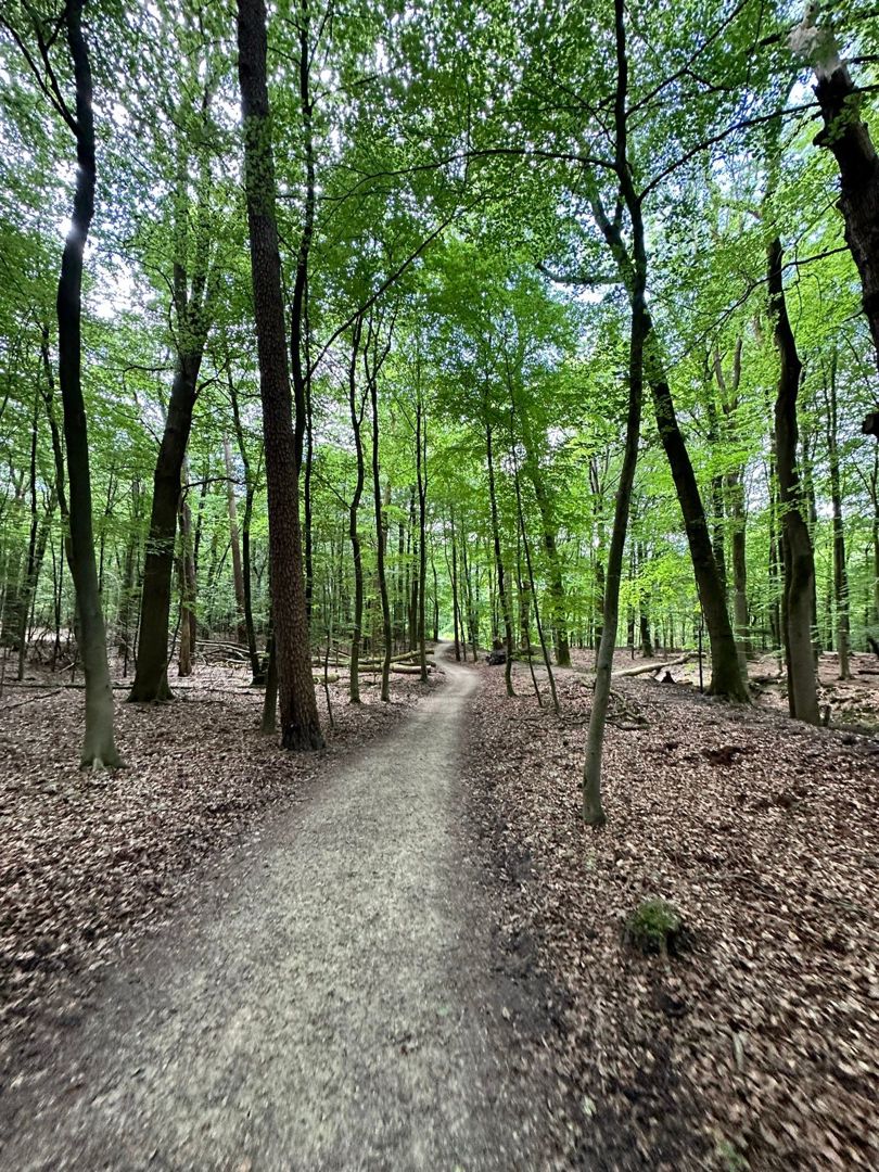 Oudejaarstocht Gravel tocht 2025