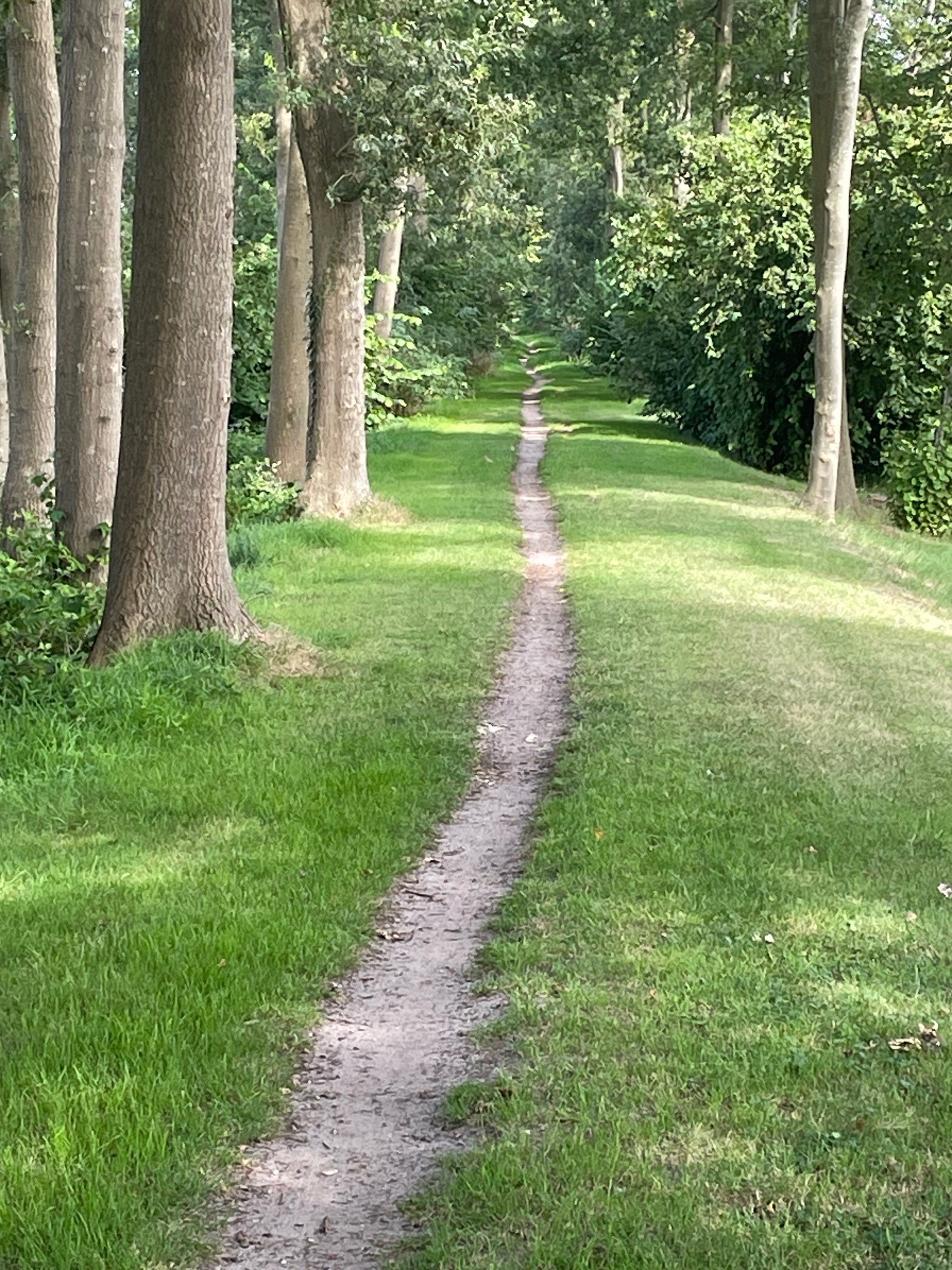 Cycling Challenge Hoogland 2025 (gravel)