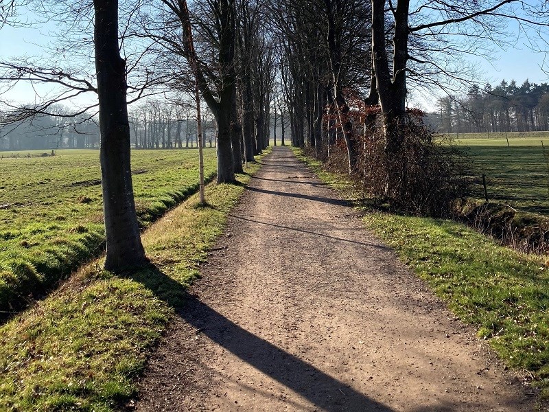 Dwars door het hart van de Gelderse Vallei