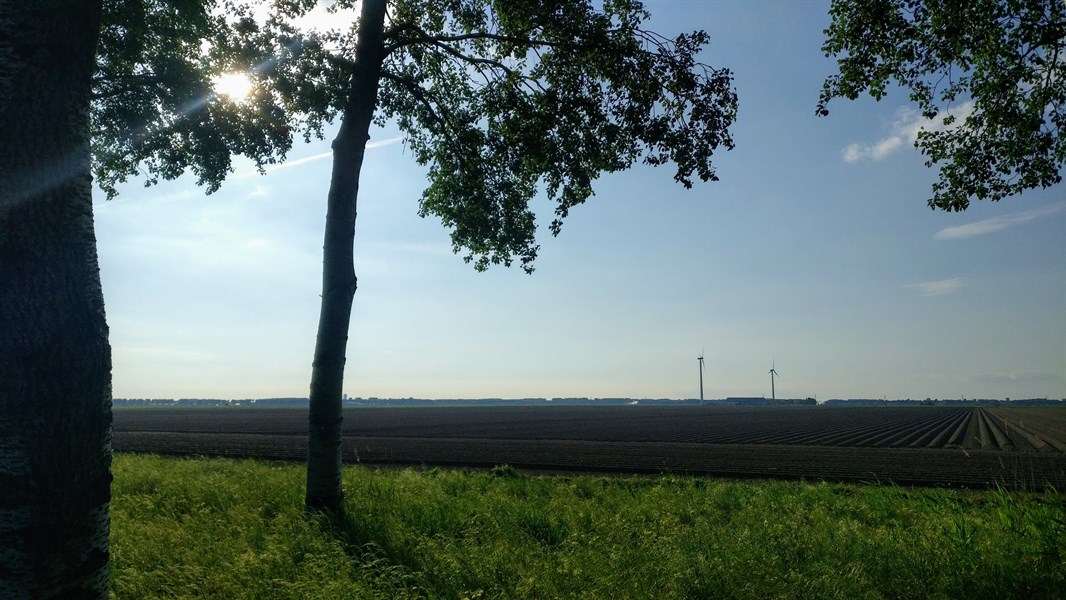 Groen Rondje Midden-Flevoland