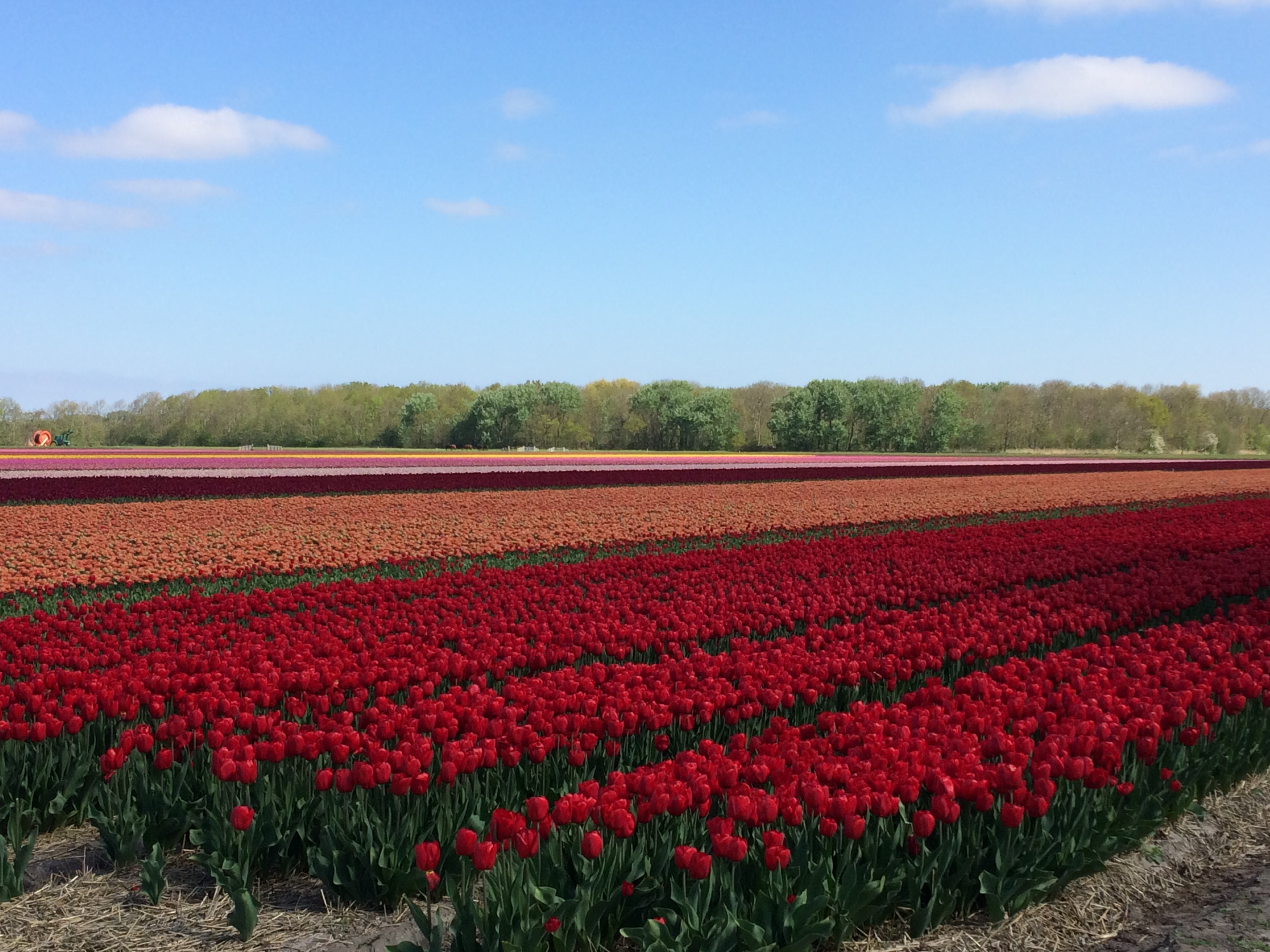 Noord-Hollandse Bollentocht 2025