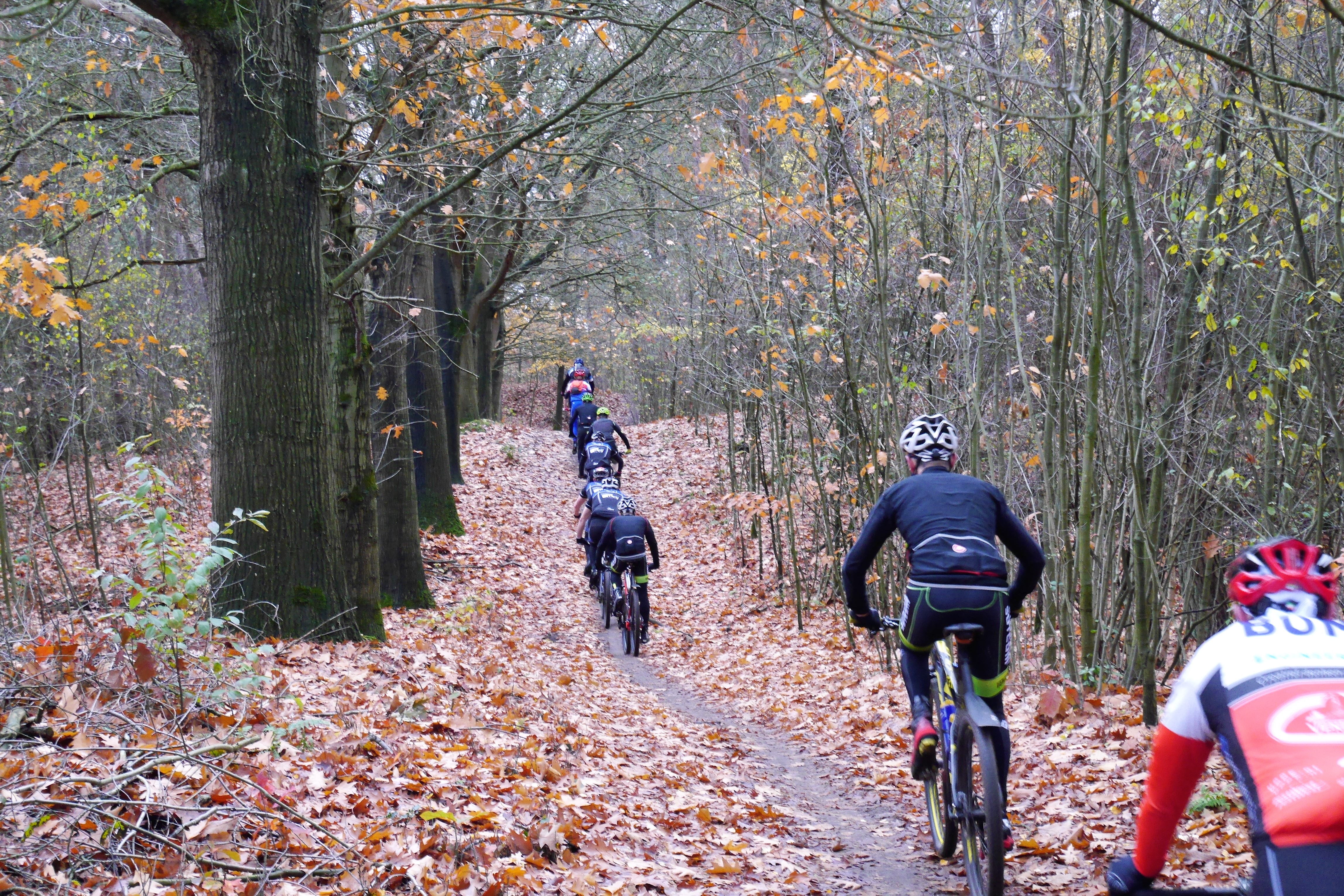 Veldtoertocht Alphen